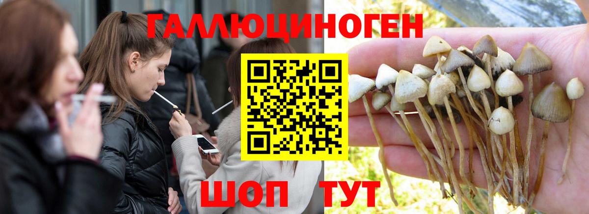 Барнаул  Галлюциногенные грибы MAGIC MUSHROOMS  Вход с VPN 